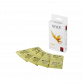 Vanilla, 10Stück