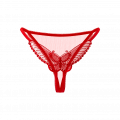 Rot