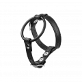 Penis-Hoden-Gurt mit Ring, 3,5 cm
