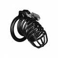 Male Chastity Birdcage