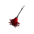 Frisky Feather Duster