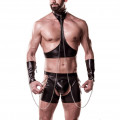 Harness Set im Wetlook, 4 teilig