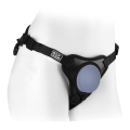 Dillio Platinum - Body Dock