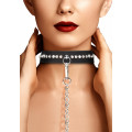 Exquisites Halsband mit Leine mit Diamantnieten