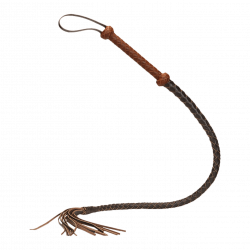 Geflochtene Peitsche aus Reitleder