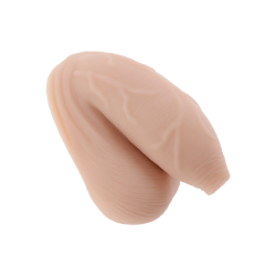 The Uncircumcised Packer, 11,6cm