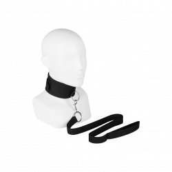 Breites Halsband mit Leine