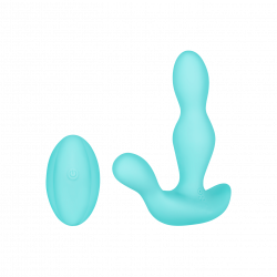 Analvibrator mit Fernbedienung