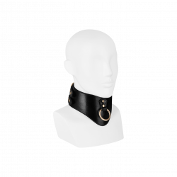 Breites Halsband für BDSM Spiele