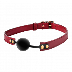 Blaze - Elite Ball Gag