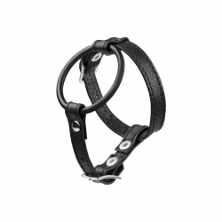 Penis-Hoden-Gurt mit Ring, 3,5 cm