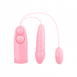 Doppelvibrator mit Fernbedienung
