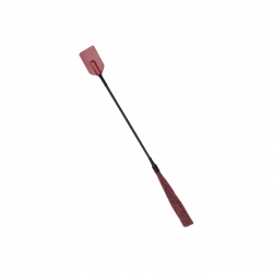 Saffron - Tap and Tickle