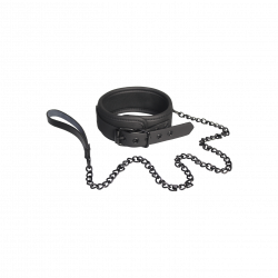 Collar and Leash