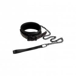 Collar and Leash