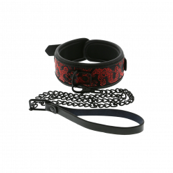 Collar & Leash