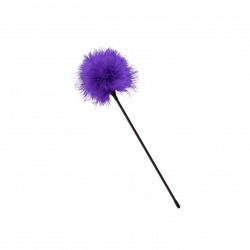 Purple & Black Feather